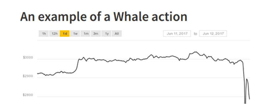 the start of whale action graph