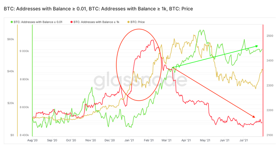 aggressive whale action graph